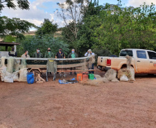 Operação fiscaliza pesca ilegal no Rio Ivaí. Foto:SEDEST