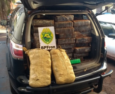 BPFron completa oito anos de atuação com mais de 66 toneladas de drogas apreendidas. Foto:SESP
