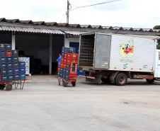  Bancos de Alimentos da Ceasa já distribuiu 970 toneladas neste ano. Foto: Gilson Abreu/AEN