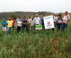 IDR-Paraná incentiva cultivo de pastagens de inverno. Foto;SEAB