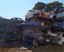 Polícia Civil remove 1,6 mil veículos de pátios em Cascavel. Foto: polícia Civil