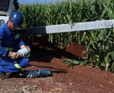 Paraná Trifásico abre espaço para agropecuária crescer mais