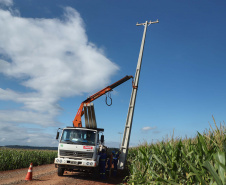 Paraná Trifásico abre espaço para agropecuária crescer mais