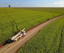 Paraná Trifásico abre espaço para agropecuária crescer mais