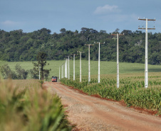 Paraná Trifásico abre espaço para agropecuária crescer mais