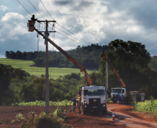 Paraná Trifásico abre espaço para agropecuária crescer mais