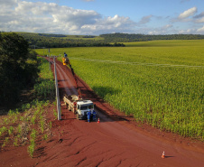 Paraná Trifásico abre espaço para agropecuária crescer mais