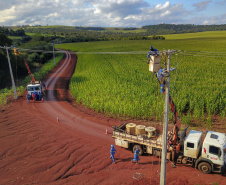 Paraná Trifásico abre espaço para agropecuária crescer mais