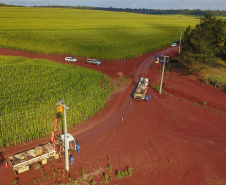 Paraná Trifásico abre espaço para agropecuária crescer mais