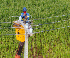 Paraná Trifásico abre espaço para agropecuária crescer mais