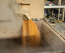 Exportação de grãos deve crescer 8,5% no 3.º trimestre.