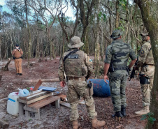 Reforço da presença da PM na Ilha do Mel inibe tráfico de drogas e invasão de áreas de proteção ambiental
. Foto:PMPR