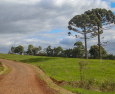 CHOPINZINHO - Estrada Rural.
