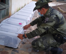 153 cobras peçonhentas são recolhidas de residência em Mandaguari
Foto:SEDEST/Polícia Ambiental