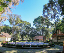 Bosque Papa João Paulo II no Centro Cívico em Curitiba.  Curitiba, 09/07/2019 -  Foto: Geraldo Bubniak/ANPr