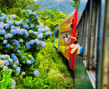 Caminho de Itupava terá complexo de recepção ao turista.Foto:SEDEST