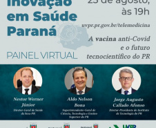 Painel virtual debate vacina anti-Covid e futuro tecnocientífico do Paraná. Imagem SETI