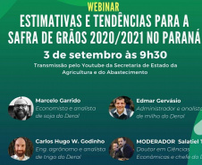 Agricultura promove webinar sobre a safra 2020/2021 no Paraná
. Imagem:SEAB