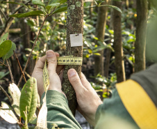 No Dia Nacional do Biólogo, 03 de setembro, a Portos do Paraná destaca a atuação desses profissionais nos programas na área de meio ambiente nos portos de Paranaguá e Antonina.  A empresa pública mantém 20 iniciativas de monitoramento e conservação e é reconhecida internacionalmente pelas ações de cuidado com a sustentabilidade.