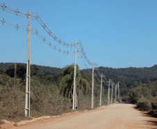 Paraná Trifásico alcança 1,2 mil quilômetros de novas redes.Foto:Ari Dias/AEN.