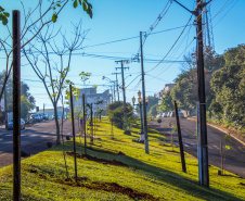 Programa da Copel incentiva arborização dos municípios
.Foto:Copel