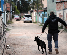 Curitiba, 22 de setembro de 2020.  Operação Lisboa