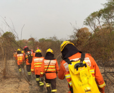 Bombeiros do Paraná completam dez dias de combate a incêndios no Pantanal
. Foto: Corpo de Bombeiros