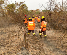 Bombeiros do Paraná completam dez dias de combate a incêndios no Pantanal
. Foto: Corpo de Bombeiros