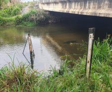 Ferramenta online mostra nível dos rios no Paraná.Foto: IAT