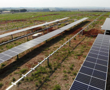  Usina solar da Copel recebe módulos fotovoltaicos. Foto: Copel