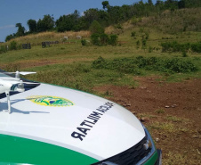 A quarta edição da Operação Mata Atlântica em Pé, organizada pelo Ministério Público, com apoio do Batalhão de Polícia Ambiental Força-Verde (BPAmb-FV), do Instituto Água e Terra (IAT) e do Ibama, foi encerrada após 14 dias de ações em todo o Paraná. Foto:SESP