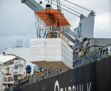 
Segue crescente o volume de cargas movimentado pelos portos paranaenses em 2020. Comparando os meses de setembro, deste e do ano passado, o acréscimo registrado passa dos 28%. 