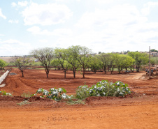 Parque urbano em AndiráFoto de Gilson Abreu/AEN