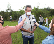 Governo do Estado faz plantio de mudas de araucária. Foto: Ari Dias/AEN