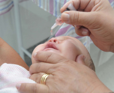 Paraná prorroga campanha para atingir meta de vacinação contra poliomielite. Foto: Venilton Kuchler/Arquivo SESA
