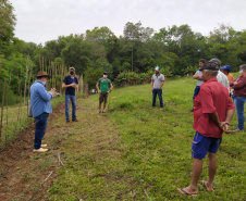 IDR-Paraná usa a internet capacitação conjunta em agricultura orgânica. Foto: IDR