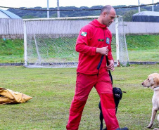 Bombeiros promovem certificação estadual de cães de busca e resgate. Foto: SESP