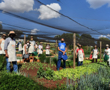 Cultivar Energia doa materiais para horta em Maringá. Foto: Copel
