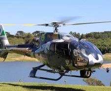 Atividades são promovidas regularmente para que os profissionais estejam prontos para dar suporte às equipes da PM e do Corpo de Bombeiros em operações, radiopatrulhamento aéreo, resgates e remoções aeromédicas.
Foto: SESP