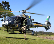 Atividades são promovidas regularmente para que os profissionais estejam prontos para dar suporte às equipes da PM e do Corpo de Bombeiros em operações, radiopatrulhamento aéreo, resgates e remoções aeromédicas.
Foto: SESP