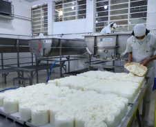 Documento publicado semanalmente pelo Deral mostra que o leite teve queda no preço para o produtor e se refletiu também para o consumidor, devido à maior oferta no mercado e menor demanda.