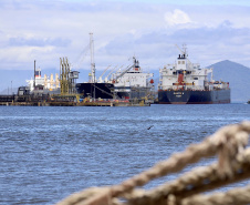 Exportações puxam o aumento de 9% na movimentação dos portos 