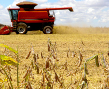 Agropecuária foi base de sustentação da balança comercial.