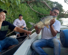 IAT apreende equipamentos de pesca ilegal nos rios Ivaí, Paraná e Piquiri