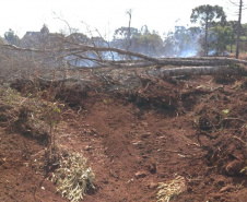 Desmatamento ilegal do Bioma da Mata Atlântica na Região Centro-Sul do Estado.
Foto: Divulgação Sedest/IAT