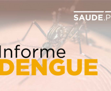 A Secretaria de Estado da Saúde divulgou nesta terça-feira (12) o primeiro boletim de 2021 com os dados do monitoramento da dengue no Estado. São 1.724 casos confirmados no período epidemiológico, que teve início em agosto do ano passado. - Foto: Divulgação SESA. 