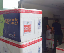 
Agilidade das equipes da Saúde garante entrega a todos os municípios do Paraná.
Foto: Américo Antonio/SESA
19.01.2021
