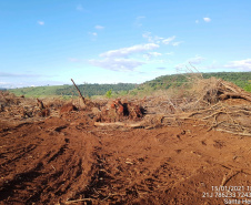 Força-Tarefa reforça combate à pesca predatória e desmatamento no Paraná. FOTO:SEDEST