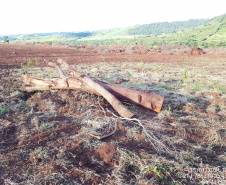 Força-Tarefa reforça combate à pesca predatória e desmatamento no Paraná. FOTO:SEDEST