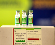 Vacinas da Fiocruz contra a Covid-19 chegam ao Centro de Medicamentos do Paraná na madrugada deste domingo (24).
Foto: Gilson Abreu/AEN